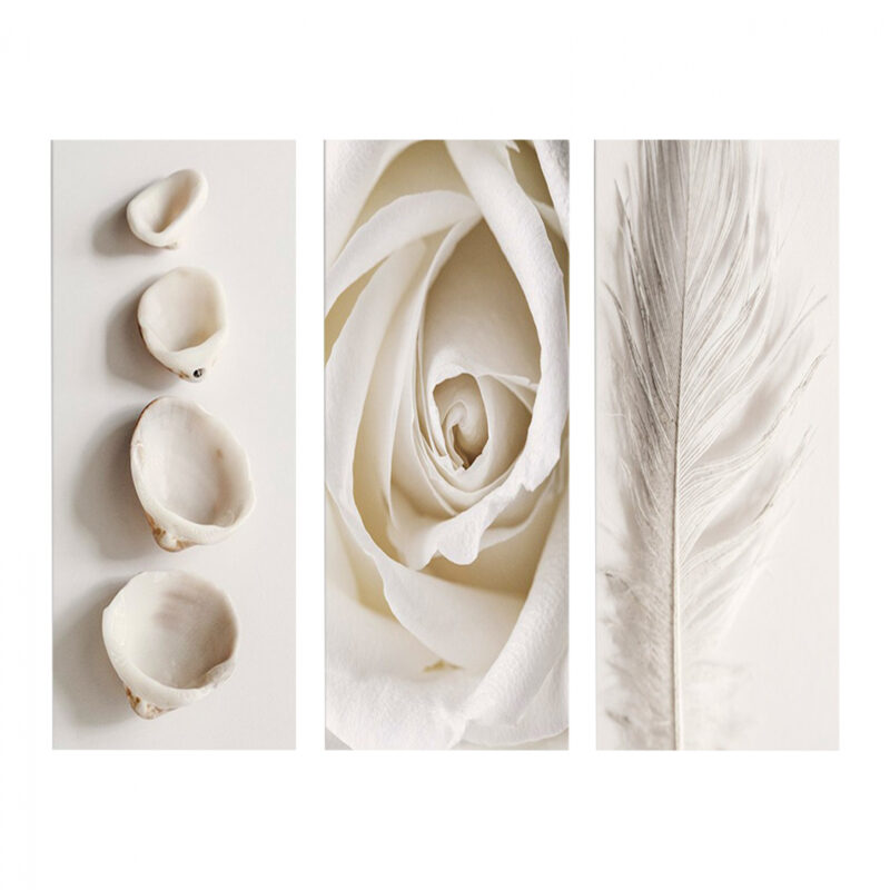 Канава, HM7204.05, Многоцветен, Мдф, 60х0.3х50см.