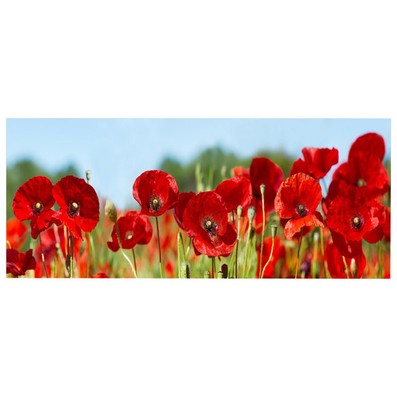 Платно, GOBI, Многоцветен, Канава, 120х3см.