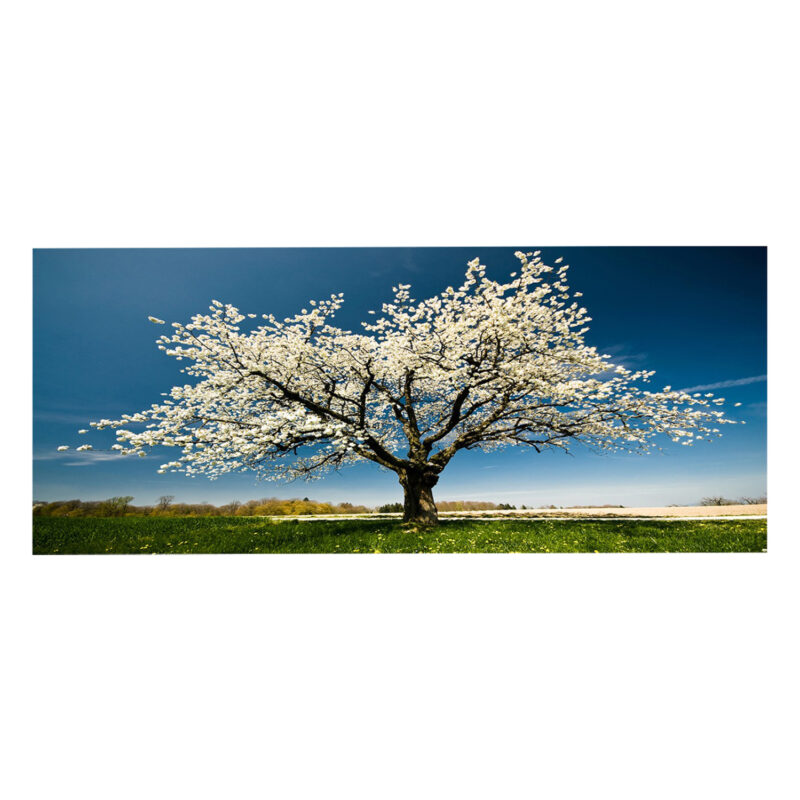 Платно, GOBI, Многоцветен, Канава, 120х3см.