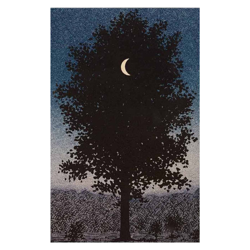 Платно, GOBI, Многоцветен, Канава, 45х3х70см.