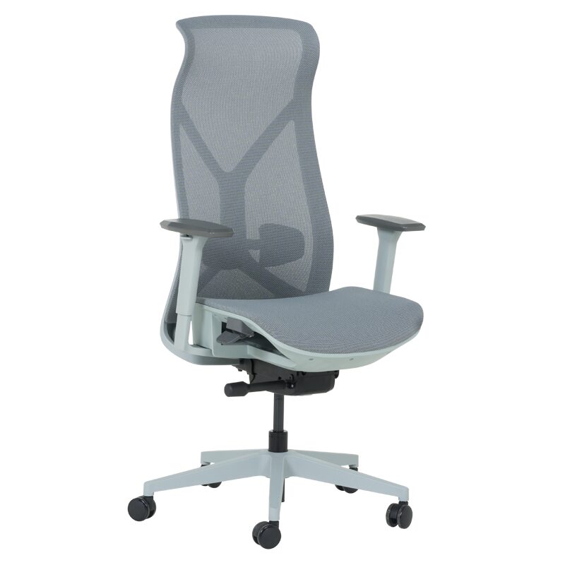 Ергономичен стол BETHAL – син