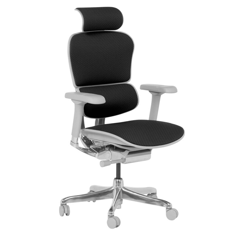 Ергономичен стол ERGOHUMAN ELITE 2 – сива рамка – черен