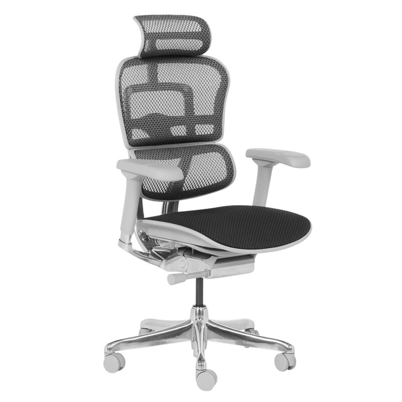 Ергономичен стол ERGOHUMAN ELITE 2 – сива рамка – черен