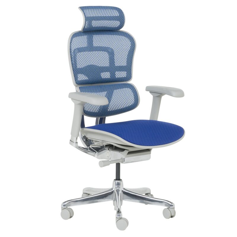 Ергономичен стол ERGOHUMAN ELITE 2 – сива рамка – син