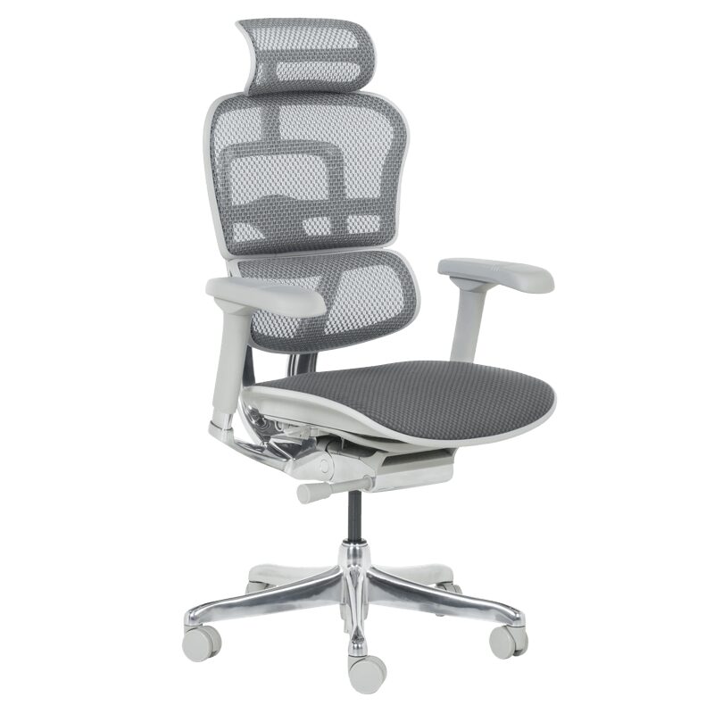 Ергономичен стол ERGOHUMAN ELITE 2 – сива рамка – сив