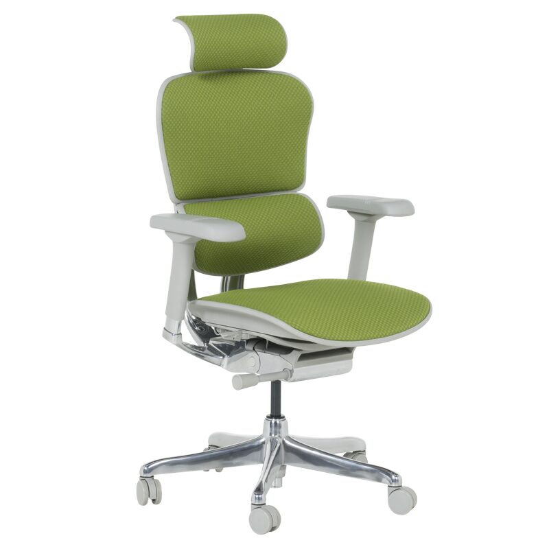 Ергономичен стол ERGOHUMAN ELITE 2 – сива рамка – зелен