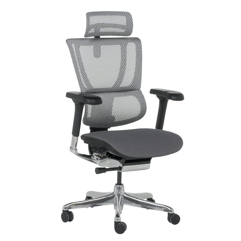 Ергономичен стол ERGOHUMAN IOO ELITE 2 – черна рамка – сив