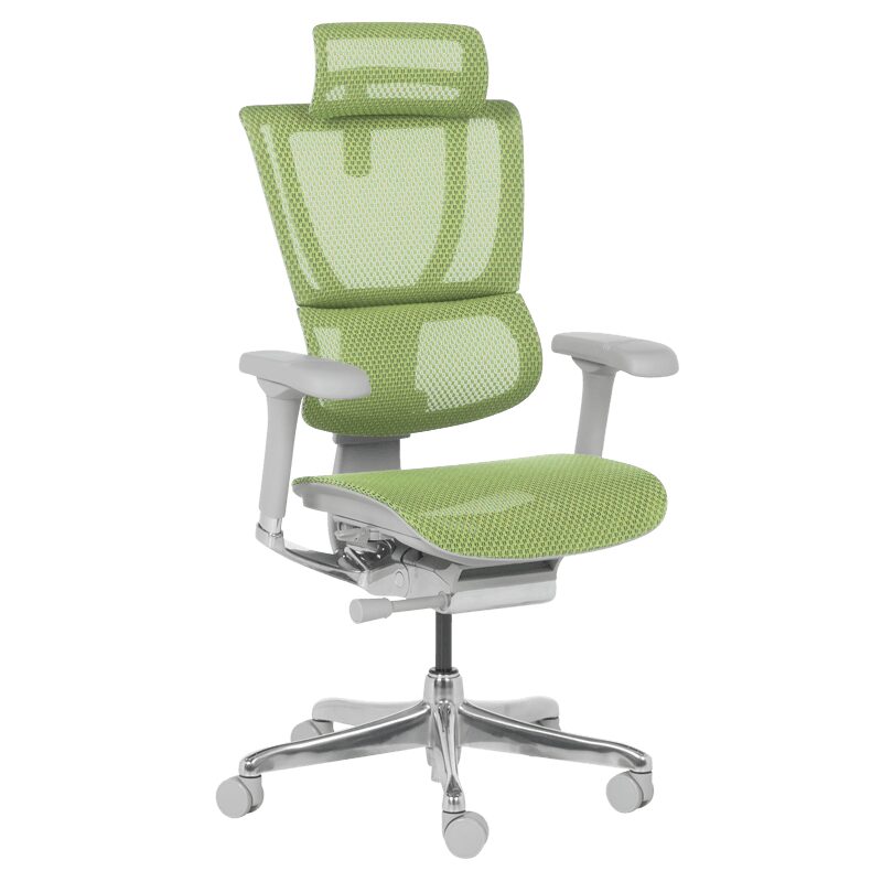 Ергономичен стол ERGOHUMAN IOO ELITE 2 – сива рамка – зелен