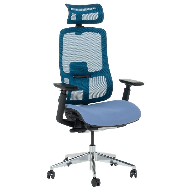 Ергономичен стол SALTO – син