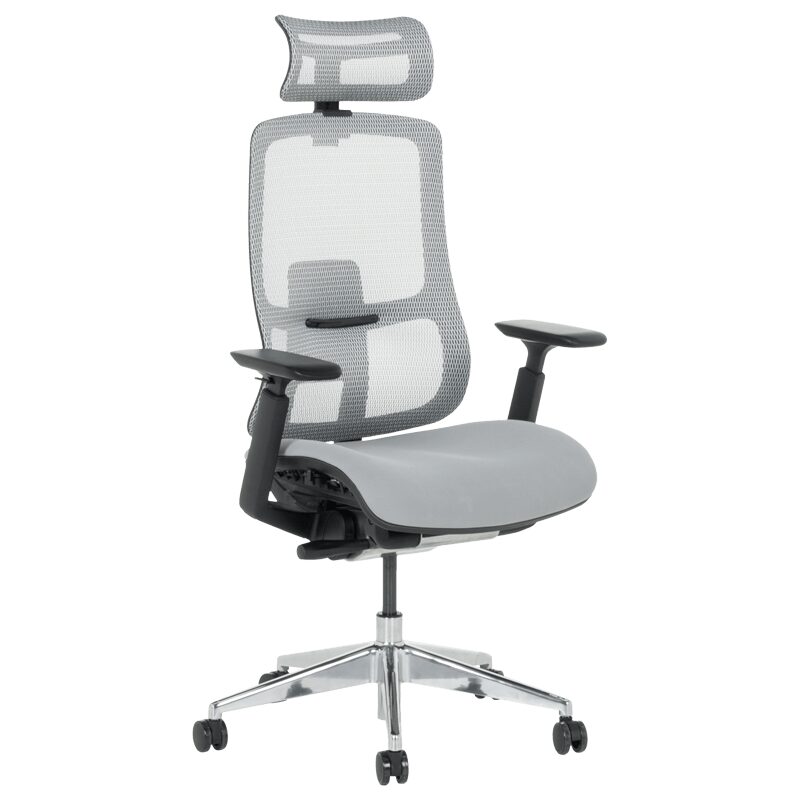 Ергономичен стол SALTO – сив