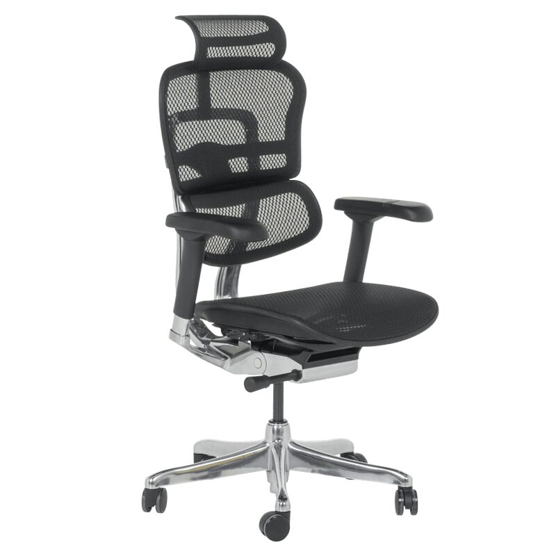 Ергономичен стол ERGOHUMAN ELITE 2 – черна рамка – черен